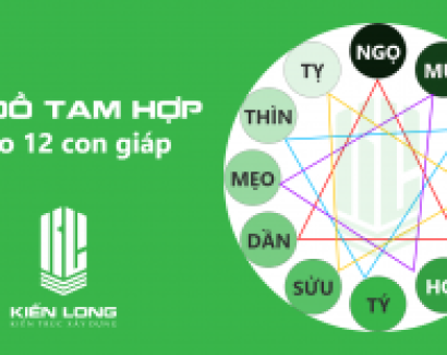  TAM TAI, KIM LÂU, HOANG ỐC LÀ GÌ?