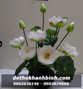 hoa su cao cấp 