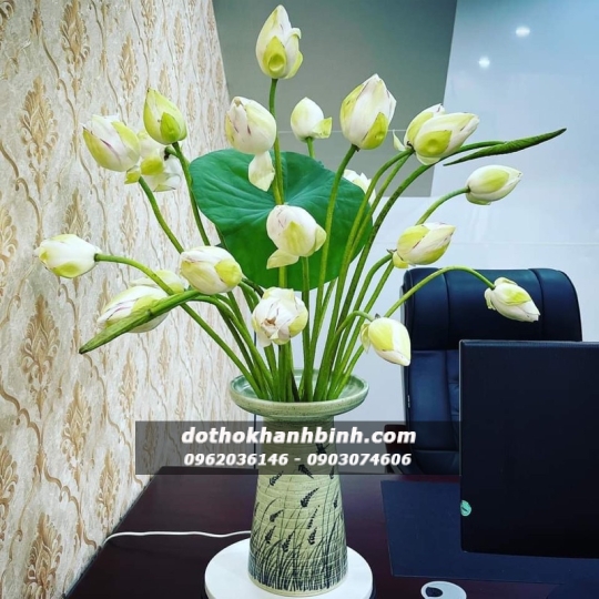 hoa su cao cấp 